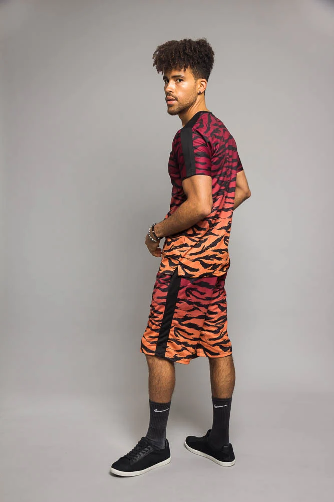 Dip Dye Gradient Tiger Set - Image 12