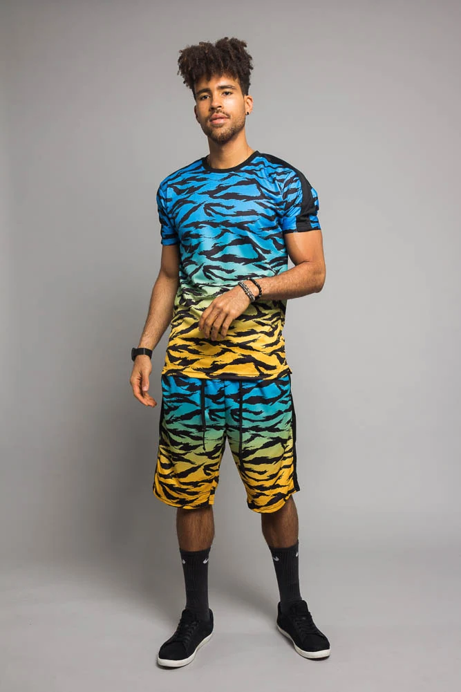 Dip Dye Gradient Tiger Set - Image 6